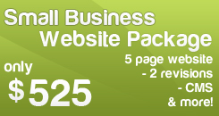 Small Business Website Design & Development Package